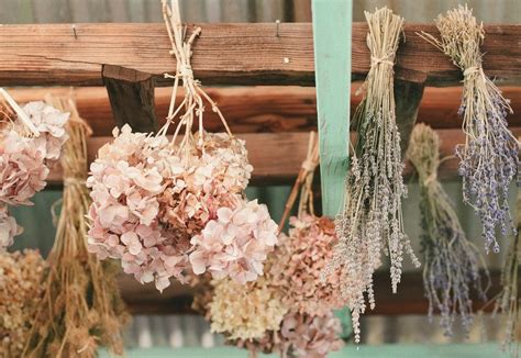 Dried Hydrangeas Decorate Rustic Wedding Venue