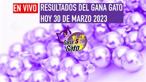 Resultados Gana Gato 2520 Martes 30 De Marzo 2023 En Vivo