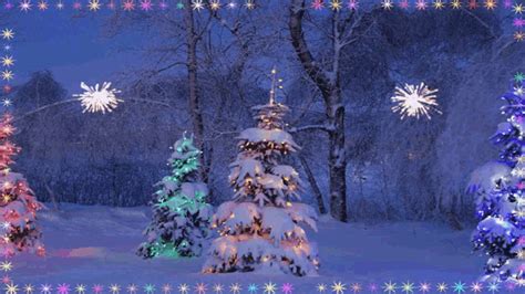 Merry Christmas Christmas Tree  Merrychristmas Christmastree Snow