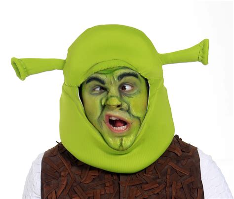 Shrek Makeup You Makeup Vidalondon