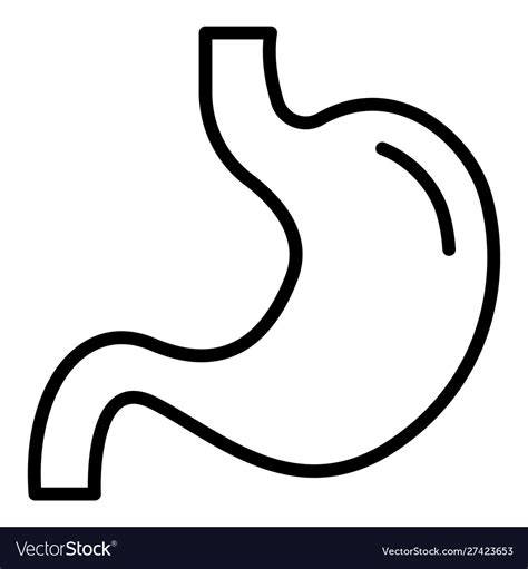 Body Stomach Icon Outline Style Royalty Free Vector Image