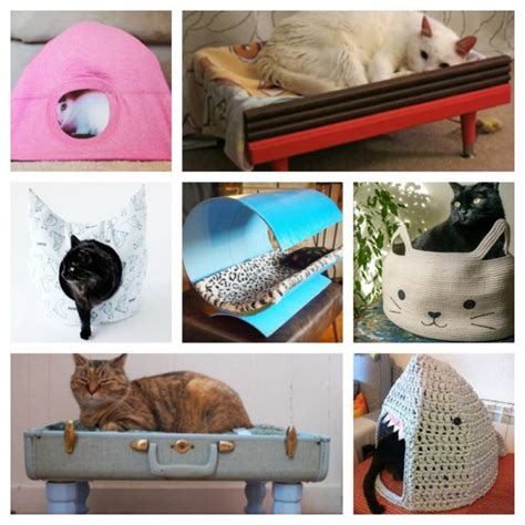 28 Cool And Unique Cat Beds For Your One Of A Kind Kitty Meow As Fluff