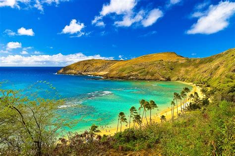 Hanauma Bay Top 10 Beaches Places To See Hawaii Travel