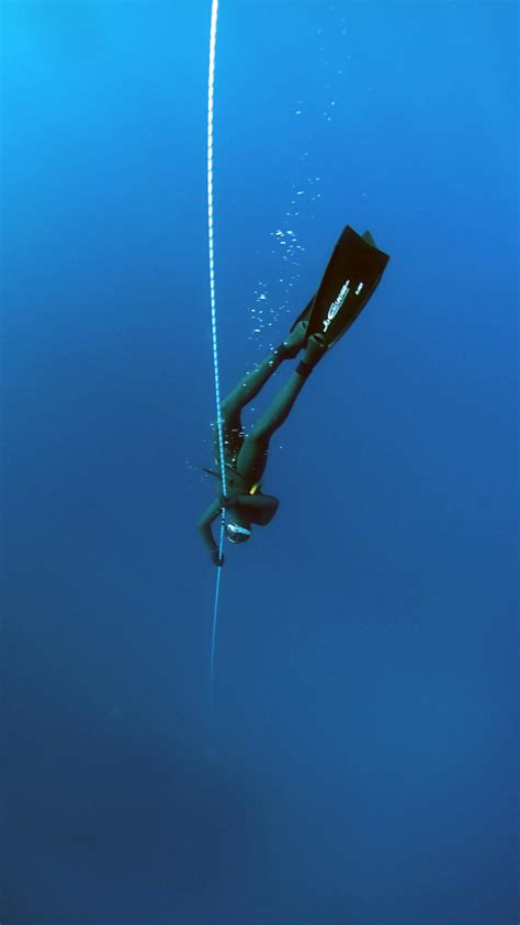 Free Stock Photo Of Blue Deep Diving Deep Ocean
