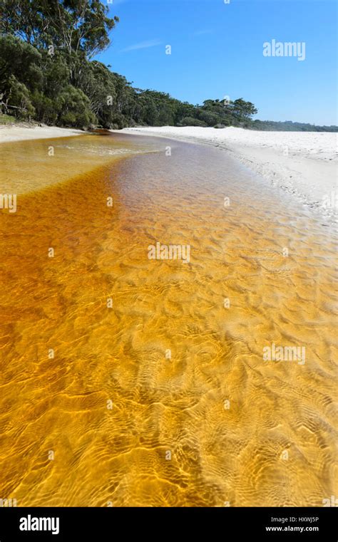 Tannin Stained Creek Flowing Into The Sea At Green Patch Beach