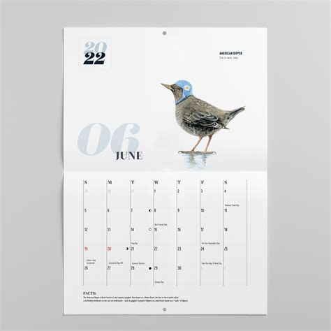 2022 Bird Calendar Barbara Schelling