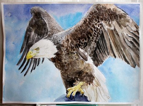 Bald Eagle Painting Original Watercolor Artwork Eagle Art Bird Etsy
