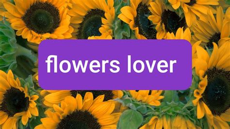 Flowers Lover Youtube