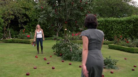 Image Reginas Apple Tree 102png Once Upon A Time Wiki Fandom