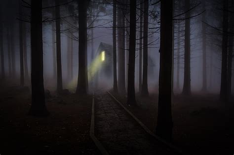 House Forest Fog Creepy Night Hd Wallpaper Wallpaperbetter