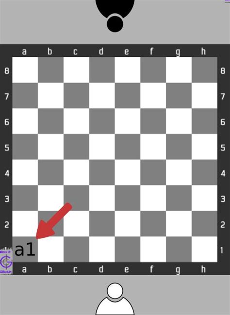 How To Setup Chess Board Easy