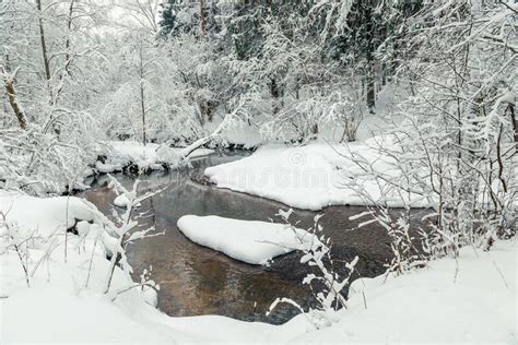 Snowy Winter Forest And Flowing River Scenic Landscape On A Winter Day