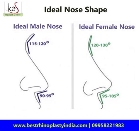 Ideal Nose Shape For Male Or Female Nose Reshaping Rhinoplasty Nose