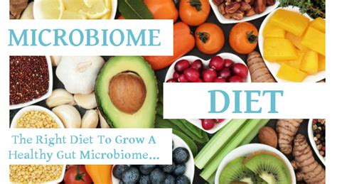The Right Diet To Grow A Healthy Gut Microbiome Microbiomeplus