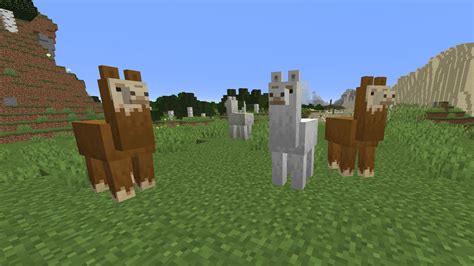 Watch this video to learn how to tame and breed cats in minecraft. How to Tame and Ride a Llama in Minecraft (2020) - Pro ...