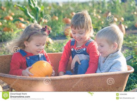 Happy Kids Sitting Inside Wheelbarrow At Field Pumpkin Patch Stock