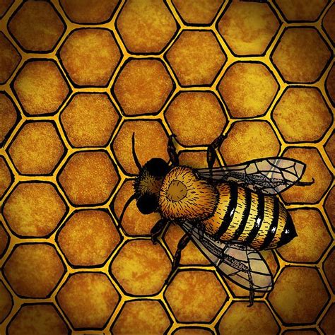 The Honey Bee Bee Images Bee Art Bee Honeycomb