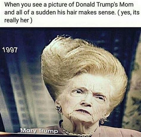 Trumps Mother Meme By Acire7077 Memedroid