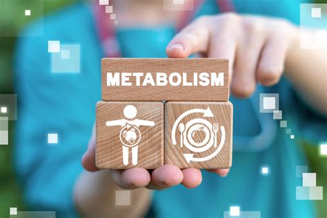 Apa Itu Metabolisme Gambaran Riset