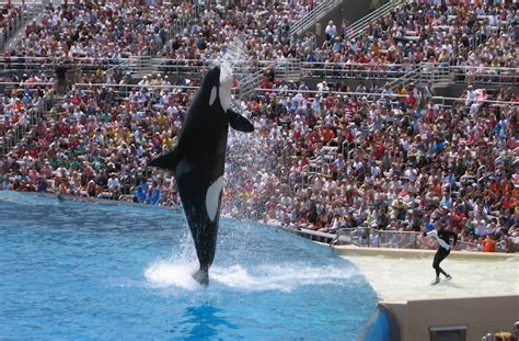 Intercontinental san diego boasts 3 dining venues and features a 4th floor rooftop bar. 10 Top Tourist Attractions in California (with Map ...