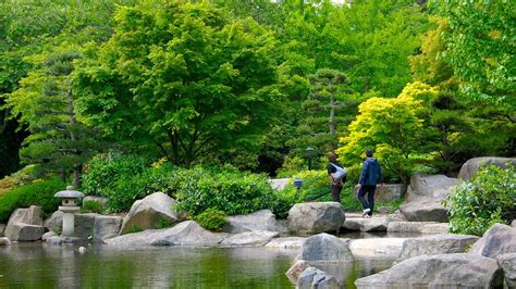 Der japanische landschaftsarchitekt yoshikuni araki entwarf die gartenanlage 1990, heute ist er der größte japanische garten in europa. Japanischer Garten in Hamburg - Expedia.de