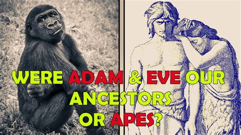 Adam And Eve Our Ancestors Or Apes Who Was The Real First Man Details Explained Youtube