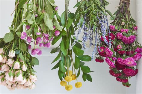 Drying Flowers Tips Tricks And The Best Varieties Dried Flower