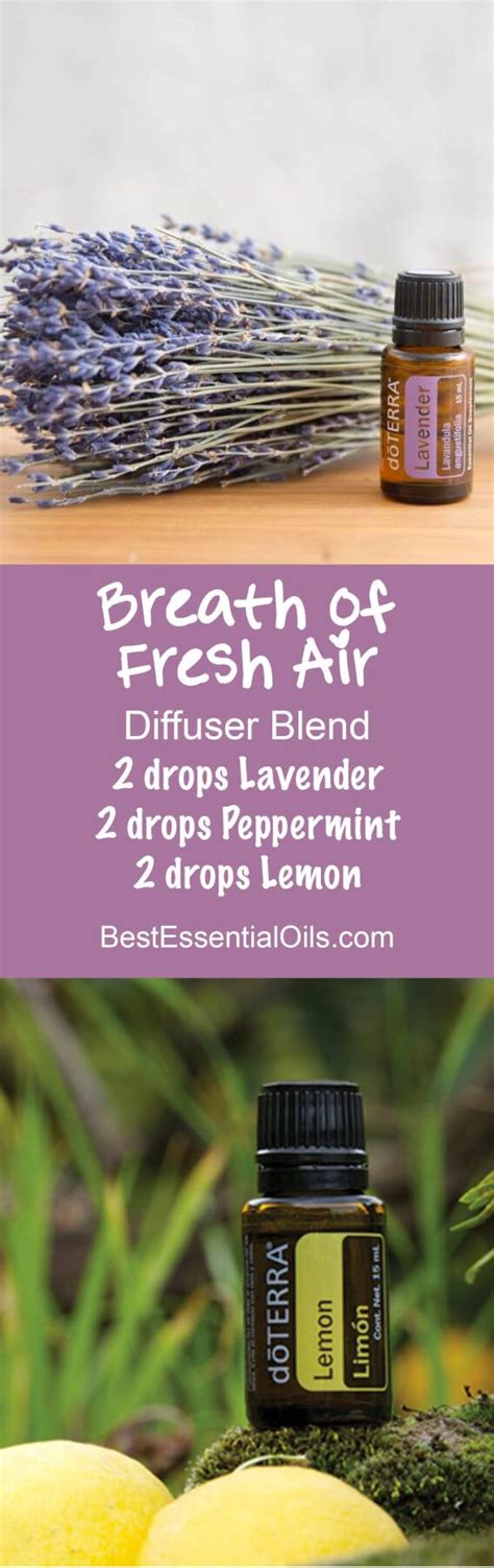 Breath Of Fresh Air Doterra Diffuser Blend Lavender Essential Oil