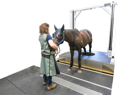 First Standing Ct Scanner Installed At Equine Sports Medicine And Surgery