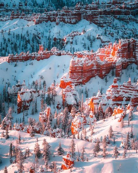 Fresh Morning Snow Bryce Canyon National Park Utah 1200x1500 Oc