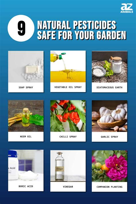 9 Natural Pesticides Safe For Your Garden Az Animals