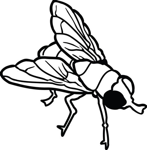 Black Fly Clip Art 20 Free Cliparts Download Images On Clipground 2021