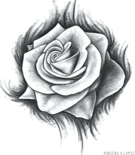 磊 Dibujos De Rosas 30 Fáciles Y Gratis