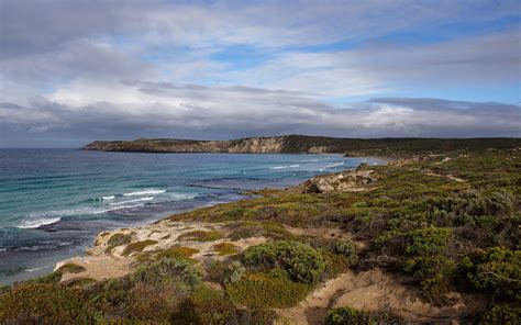 The Best Things To Do On Your Kangaroo Island Holidays Lesterlost