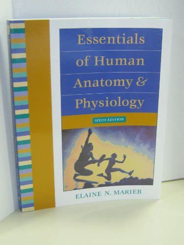 Essentials Of Human Anatomy And Physiology By Elaine N Marieb Used