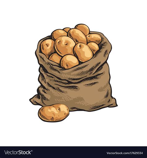 Burlap Sack Full Of Ripe Potato Hand Drawn Vector Image