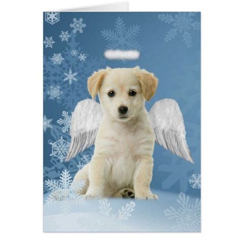 Angel Puppy Christmas Cards Christmas Puppy Puppies