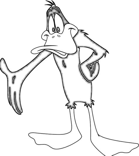 Pencil Sketch Daffy Duck Coloring Pages Netart Daffy Duck Coloring