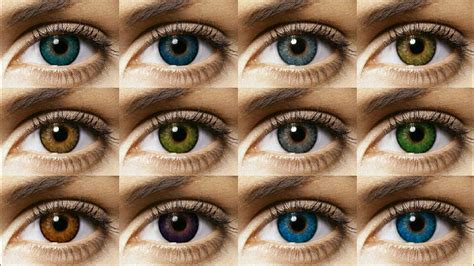 Freshlook Colorblends All 12 Colors Contact Lens Review Youtube