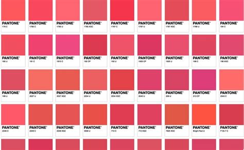 Pantone Pink Scheme