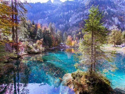 Autumn Views Of Blausee The Stunning Blue Lake In Switzerland