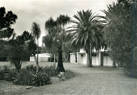 Fairchild tropical botanic garden is among the world's best tropical botanic gardens. Pictures of Fairchild Gardens in the 1970s. | Garden ...