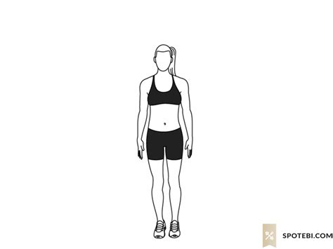 Best Beginner Workout Basic Workout Workout Guide Arm Workout