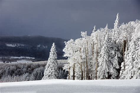 Arizona Winter Wonderland Photograph By Rudolf Volkmann