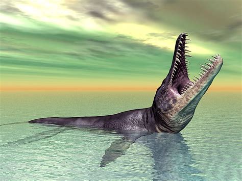 8 Amazing Prehistoric Animals Who Arent Dinosaurs