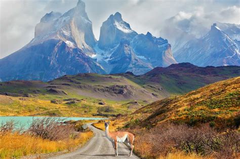 Our Complete Guide For Your Travel To Patagonia Uncover South America