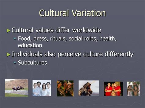 Ppt Tutoring In A Multicultural Environment Powerpoint Presentation