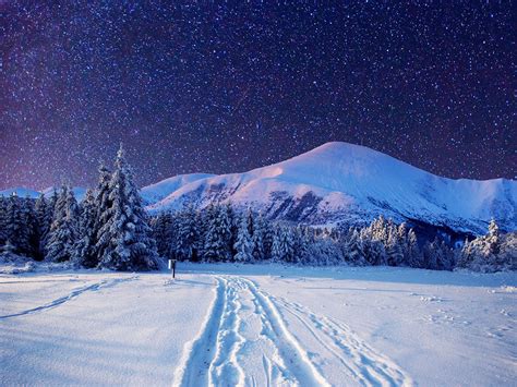 Cold Winter Night Sky Full With Stars Wonderful Landscape Beautiful