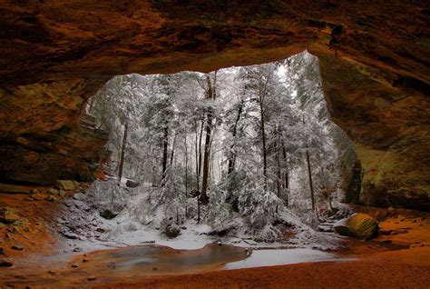 Download Tree Winter Nature Cave Hd Wallpaper