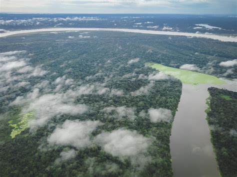 surprising and fun facts about the amazon river travel